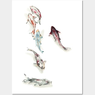 Koi fish Posters and Art